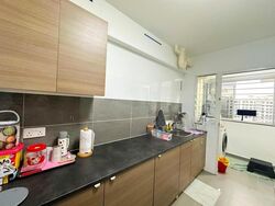 Blk 289B Compassvale Cape (Sengkang), HDB 4 Rooms #629772421